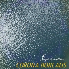 Flight of Swallows - Red ()