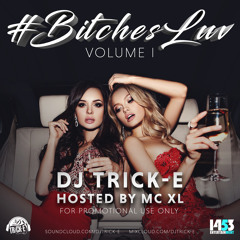 #Bitchesluv Volume 1