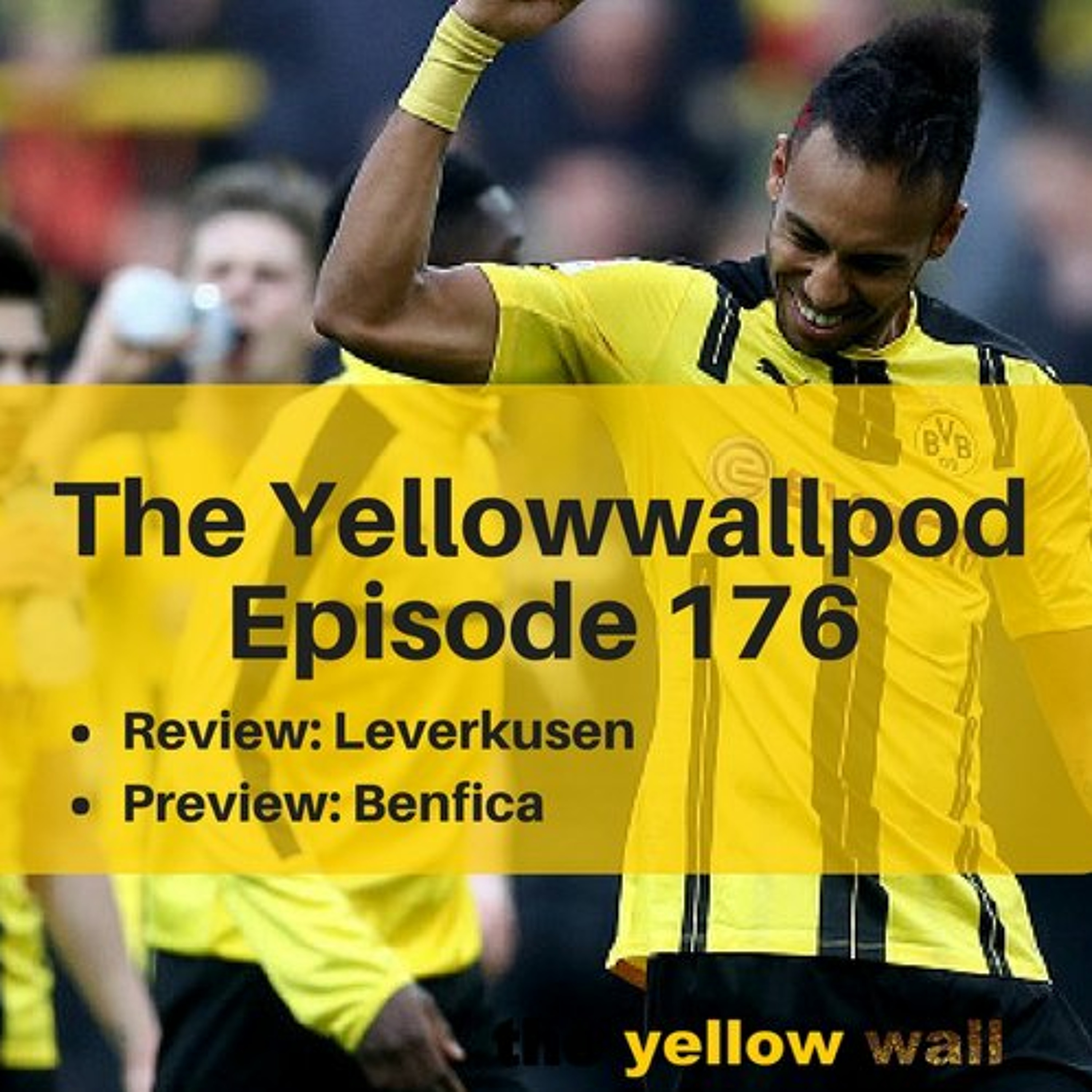 Yellowwallpod