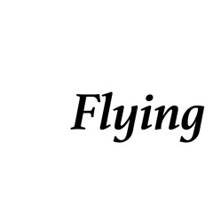Flying