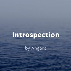 Introspection
