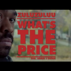 What's The Price (Music Video Link)