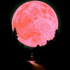 Tra$e ft. Dredz - MY GANG (prod. by GotMarkd)