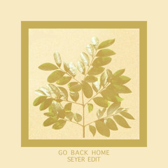 FKJ - Go Back Home(Seyer Edit)