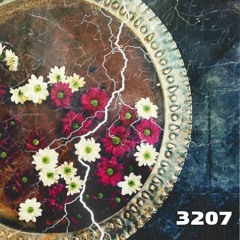 3207(Prod by Steezy G)