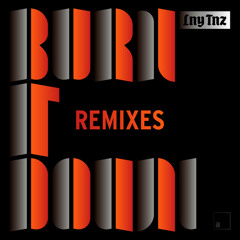 LNY TNZ - Burn It Down (M 9 7 Remix)