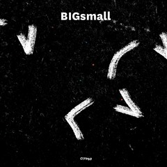 BIGsmall
