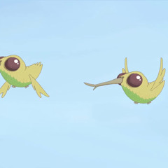 Birds, hahaha