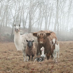 You Got It Right Live Acoustic