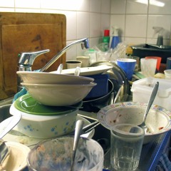 The Dishes
