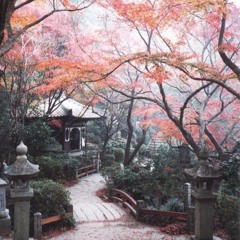 Lo-Fi