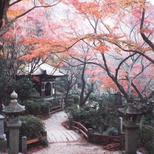 Lo-Fi