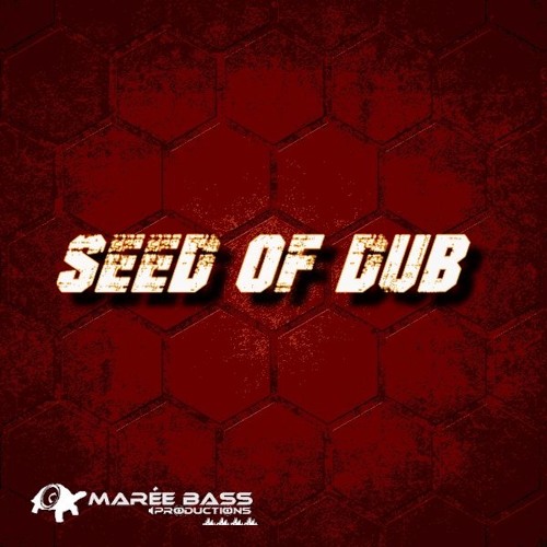 04- Seed Of Dub