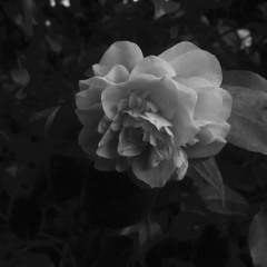 stranger danger original - first draft