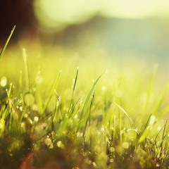 I Breathe The Winds Of Spring