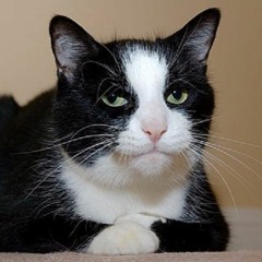 MlG0S & CH₳NCE ₮HE R₳PPER vs. ฿RUN0 M₳RS(lLike฿ad&฿oujeeProblems)