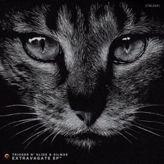 Trigger N' Slide, Silmae - Omnigate (Original Mix)