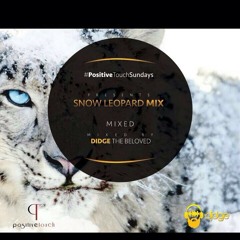 Positive Touch Sundays Presents - Snow Leopard Mix by Didge the Beloved