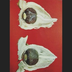 Ft. Sieterayos - Piscis