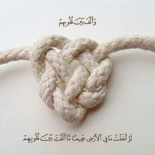 بيت سعيد  ...  أحمد سعيـد ♥ ヅ