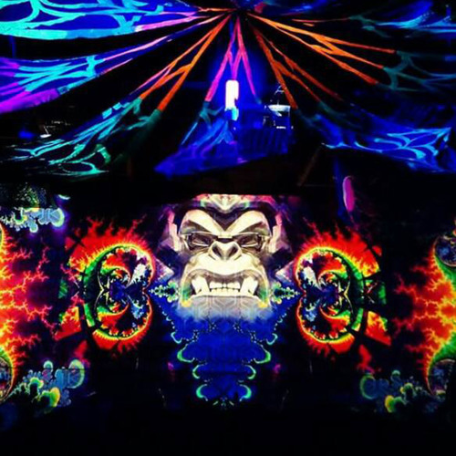 RS63: Technofloor @ Goa Nature 04.03.2017