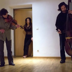 Naoko Maeshiba/Marko Jenič/ Boris Janje : sound excerpt