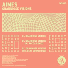 PREMIERE: Aimes - Grandiose Visions (Original Mix)[Wonder Stories]