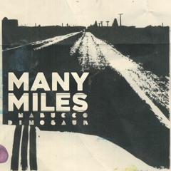 Many Miles