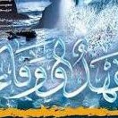 الشيخ في سكناته