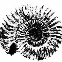 A Sunlit Abscence: L'étage Aalénien (excerpt)