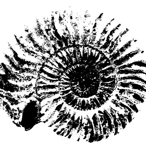 A Sunlit Abscence: L'étage Aalénien (excerpt)