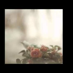 Sister by Sea Oleena