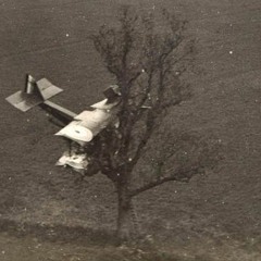 Rockin' In The Free World - Cover