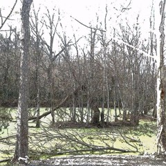 Sippysipsip(wohsMEtnal