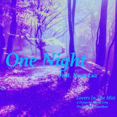 One Night (Feat. Nova Luz)