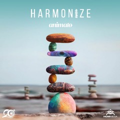 Animato & Liquid Soul - Hope For Life
