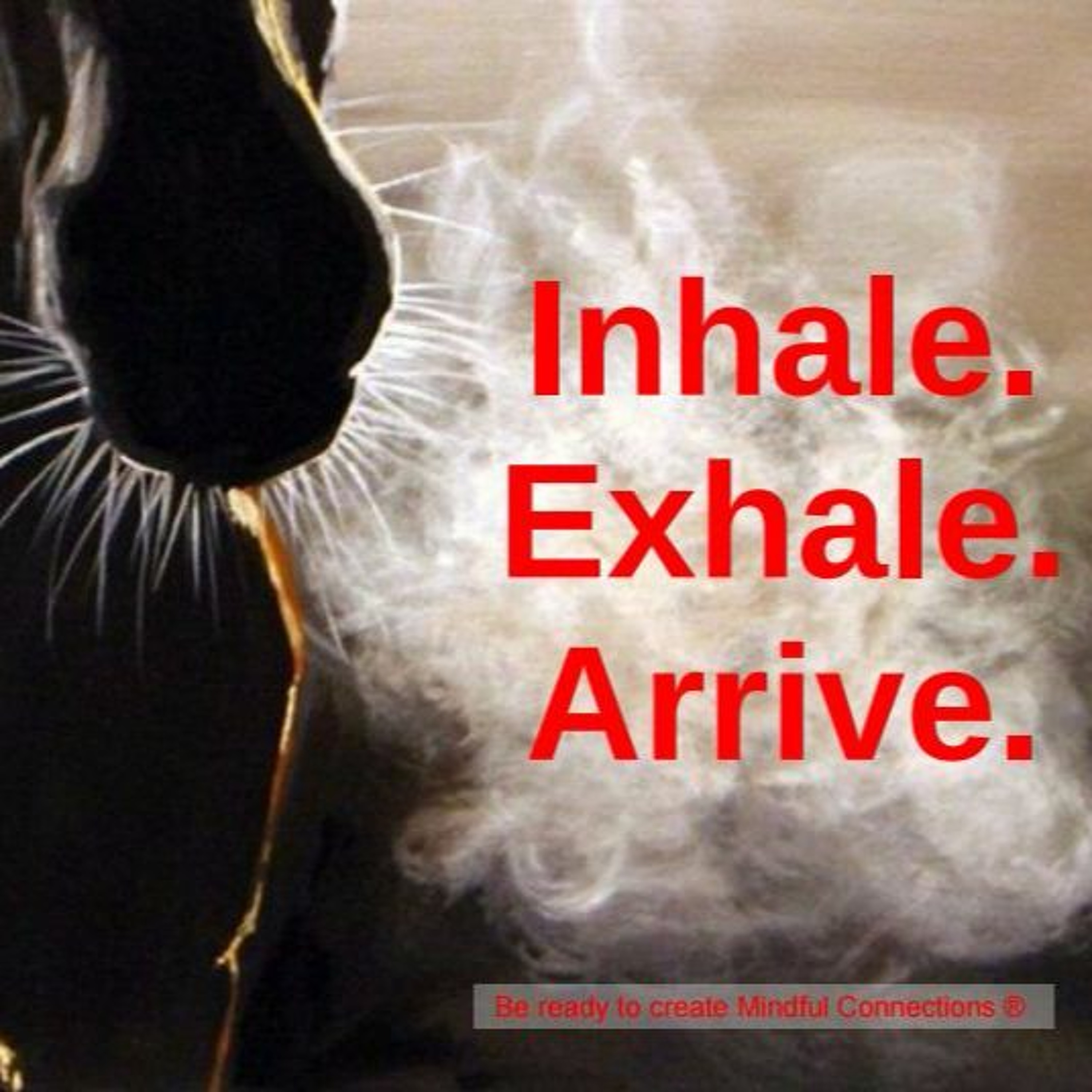 Breathing Connects episode artwork
