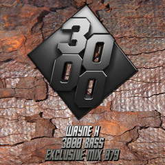 Wayne H - 3000 Bass Exclusive Mix 079 [Free Download]