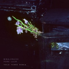 Ninajirachi - Pure Luck ft. Freya Staer (Vole Terre Remix)