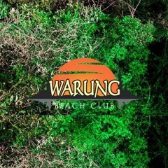 The Element -  live @ Warung