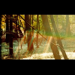 Childish Gambino - Heartbeat (rusty flip)