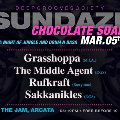 Live @ Deep Groove Society SUNDAZE - ChocolateSoap Mar2017