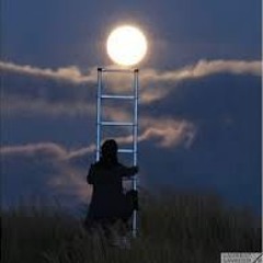 Ad Un Passo Dalla Luna