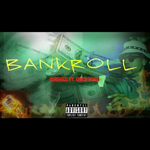Bankroll- Birdricc x Chris voice