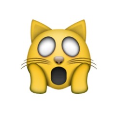 Shawty What That Thang Do