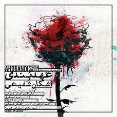AHDBANDI