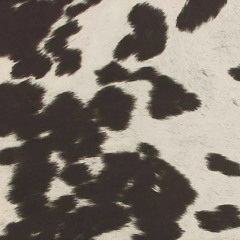 "Gimmie Love" (Carly Rae Jepsen cover)