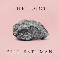 The Idiot by Elif Batuman, read by Elif Batuman
