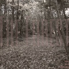 The Path(feat Simulationrxps)