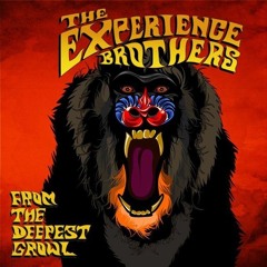 The Experience Brothers - Lion
